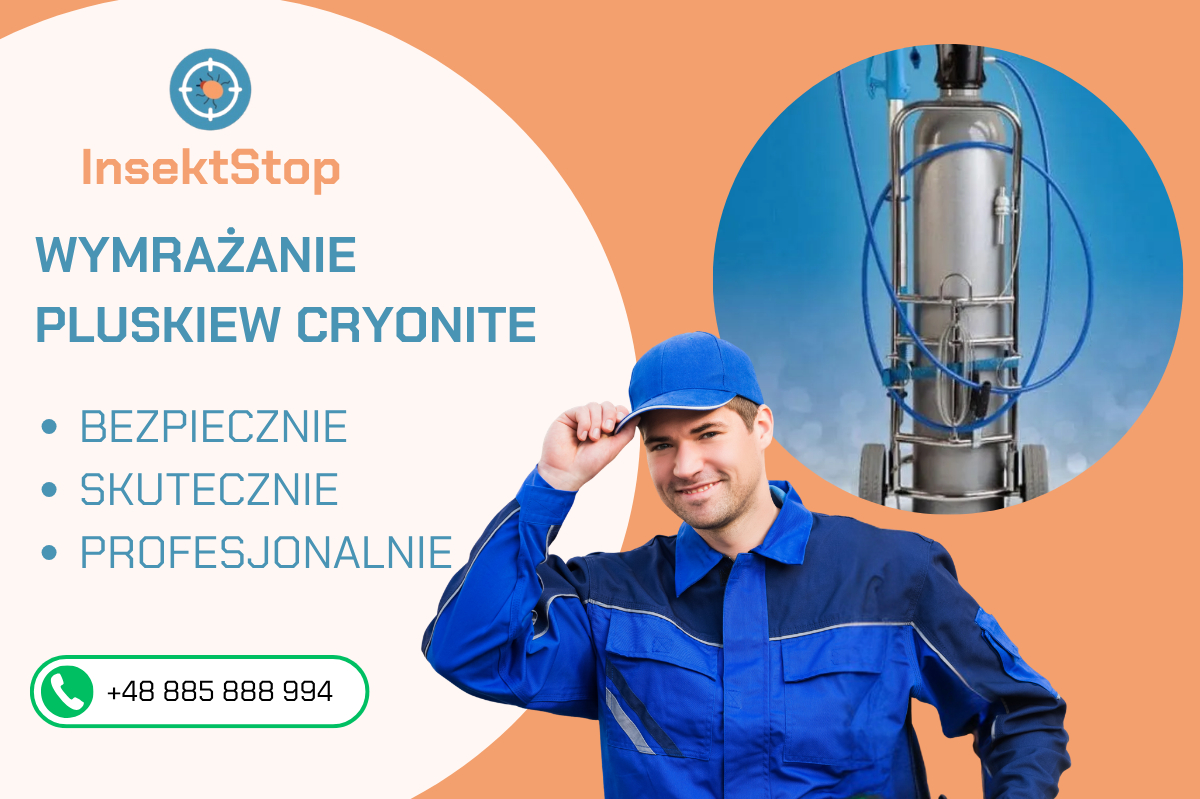 wymrażanie cryonite